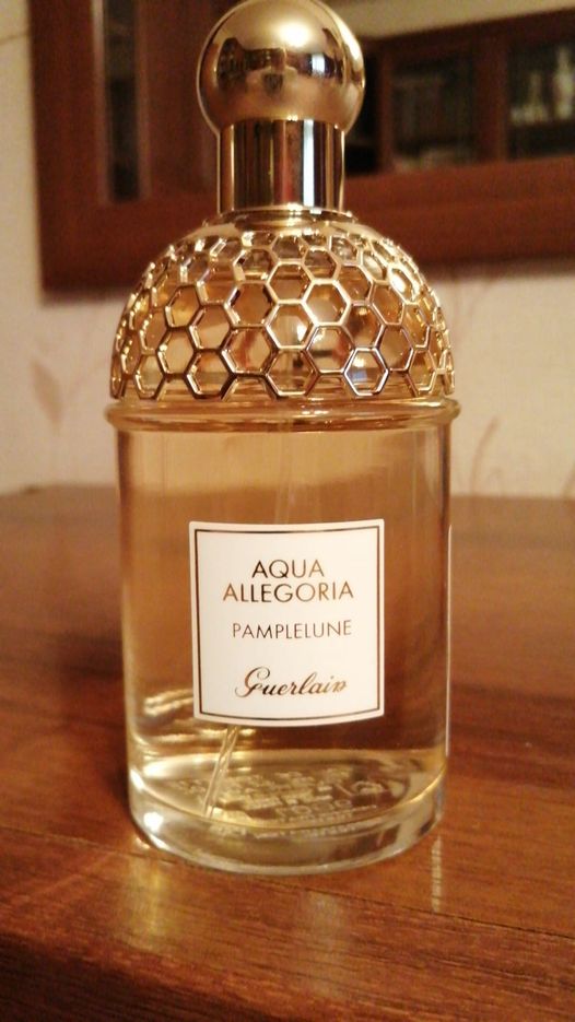 Aqua allegoria pamplelune