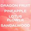 Прикрепленное изображение: 3-PHLUR_PDP_BodyMist-DragonFruit_Notes.jpg