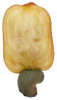 Прикрепленное изображение: Cashew_Brazil_fruit_cut.png