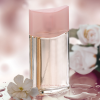 Прикрепленное изображение: AVON-Soft_Musk-old.png