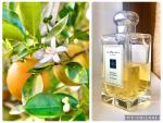 Jo Malone, Orange Blossom