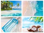 Clean, Air & Coconut Water