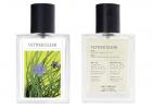 Прикрепленное изображение: the-7-virtues-vetiver-elemi-1.jpg