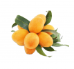 Прикрепленное изображение: Marian-Plum-Plum-Mango-background-removed.gif.png