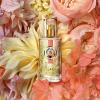 Прикрепленное изображение: roger-gallet-ylang.jpg