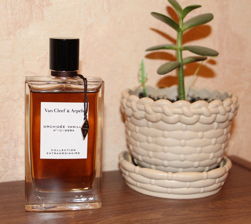 Van cleef orchid leather. Van Cleef Vanilla Orchid. Ван Клиф духи ваниль и Орхидея. Магазин Орхидея Парфюм. Парфюм коричневая Орхидея.