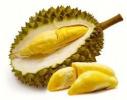 Прикрепленное изображение: durian-fruit-250x250.jpg