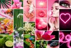 Прикрепленное изображение: FR11973 MOODBOARDS 5 PRODUITS_FLORAL GOURMAND.jpg