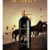 Прикрепленное изображение: arabians-tonka-edp-100-ml (1).jpg