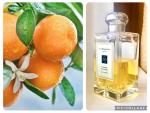 Jo Malone, Orange Blossom