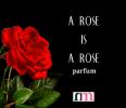 Прикрепленное изображение: A-Rose-is-a-Rose-1.jpg