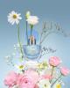 Прикрепленное изображение: 264541_1a6d52609dafe1dedb5d7cf2ca50da2d_pure-flower-eau-de-parfum.jpg