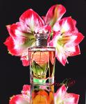 Christian Dior, Dioressence 2009, EdT, Dior