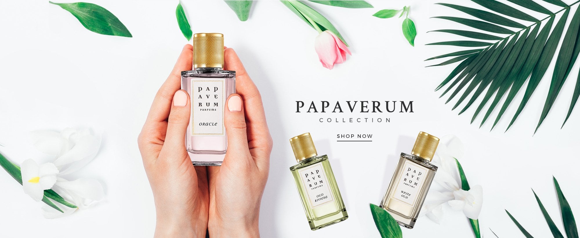 papaverum white oud