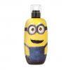 Minions, Air-Val International