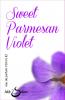 Фото Sweet Parmesan Violet Hilde Soliani