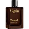 Gigolo Wanted, Magasalfa