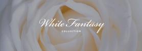 White Fantasy Collection Ramon Monegal