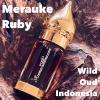 Merauke Ruby, Aroma Sublime