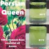 Persian Queen, Aroma Sublime