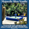 Majorelle Bleu Vanille, Damask Haus