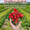 Strawberry Festival, Damask Haus