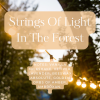 Strings of Light in the Forest, Sorcellerie Apothecary