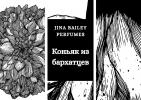 Коньяк из бархатцев, Jina Bailey Perfumes