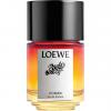 Paula’s Ibiza Cosmic, Loewe