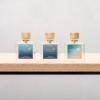 Ocean Series Memoirs Of A Perfume Collector