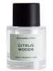 Citrus Woods, Abercrombie & Fitch