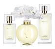 Прикрепленное изображение: Nilang Extrait de Parfum 2011, Lalique.jpg