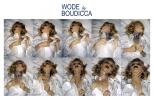 Прикрепленное изображение: Wode Paint, Boudicca.jpg