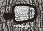 Прикрепленное изображение: Wonderwood, Comme des Garcons.jpg