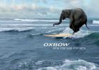 Прикрепленное изображение: Oxbow for Men, Oxbow.jpg