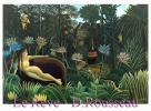 Прикрепленное изображение: Amerindian Gardens, Nicolas Danila.jpg