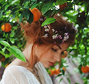 Цветок апельсина фотография